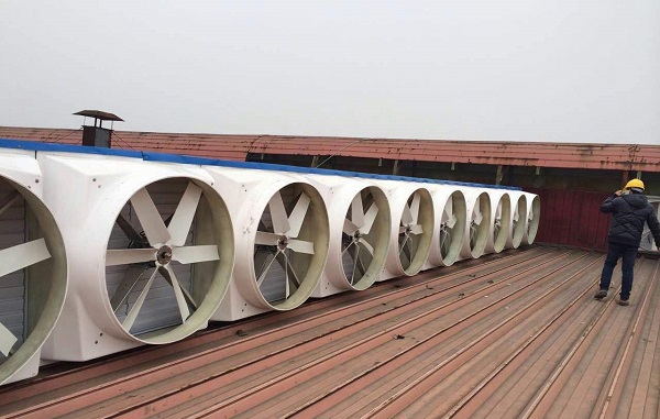 鋼結構廠房降溫